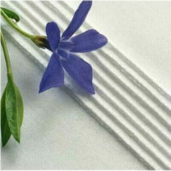 7-Groove Pintuck Foot #4123628-45 For Husqvarna Viking Sewing Machine